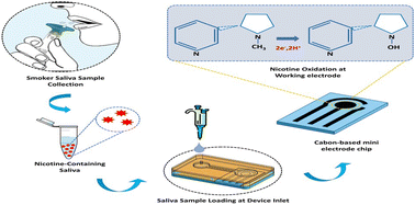 Graphical abstract: Non-invasive salivary nicotine detection for oral cancer risk assessment using a point-of-care electrochemical device functionalized with carbon@MXene/Au nanocomposite