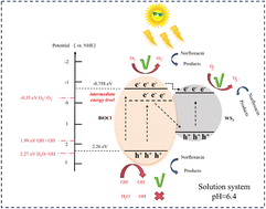Graphical abstract: Dual modulation of BiOCl: enhancing photocatalytic antibiotic degradation through Co surface bonding and a WS2 heterojunction