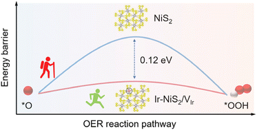 Graphical abstract: High-valence Ir single atoms enhance oxygen evolution electrocatalysis