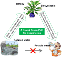 Graphical abstract: Nanoscale carbonaceous materials via element hyperaccumulation for electrochemical desalination application