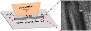 Graphical abstract: Polarization-directed growth of single-crystalline silicon nanostructures