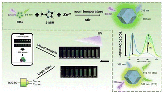 Graphical abstract: A ratiometric fluorescent sensor based on carbon dots encapsulated in ZIF-8 for visual discrimination and detection of tetracycline and chlortetracycline