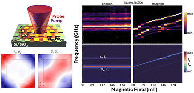 Graphical abstract: Optical probing of magnons and phonons in Ni80Fe20 nanodot arrays