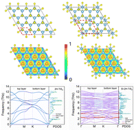 Graphical abstract: Staggering thermal transport in 2H-TiS2 dominated by acoustic-like optical phonons