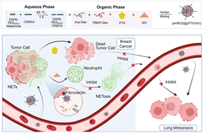 Graphical abstract: A dual pH/ROS-sensitive nanoplatform blocking NETs formation and co-delivering paclitaxel for potent therapeutic efficacy against triple-negative breast cancer and lung metastasis
