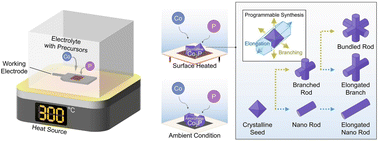 Graphical abstract: Thermoelectrochemistry-enabled phase and morphology control of metal phosphide nanocrystals