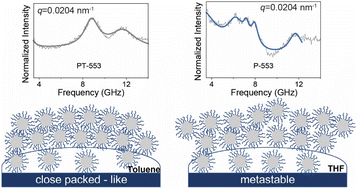 Graphical abstract: Process-dependent hypersonic phonon dispersion of brush particle metamaterials