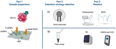 Graphical abstract: A vNAR-based hybrid nanobiosensor for rapid and selective HbA1c detection: a step forward in next-generation diabetes diagnosis
