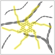 Graphical abstract: A helical polydiacetylene with enhanced thermochromic reversibility temperature from self-assembly of diacetylene-containing rosettes