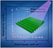 Graphical abstract: A Dual-nanograting perovskite structure for photodetectors with enhanced light trapping