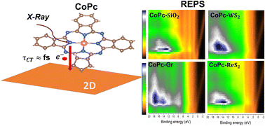 Graphical abstract: Substrate-driven modulation of interfacial charge transfer dynamics in cobalt phthalocyanine–2D material van der Waals heterostructures