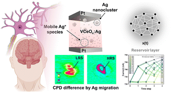 Graphical abstract: Artificial synaptic behaviors of a mobile silver-doped vanadium–cerium oxide memristor with embedded silver nanoclusters for neuromorphic computing applications