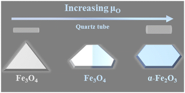 Graphical abstract: Morphology–phase coevolution driven by oxygen chemical potential in Fe3O4/α-Fe2O3 nanosheets