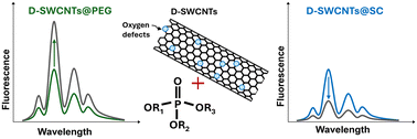 Graphical abstract: Corona-dependent enhanced fluorescence response of defects-induced single-walled carbon nanotubes to organophosphate