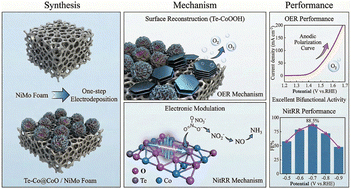 Graphical abstract: A Te-doping strategy in Co@CoO for concurrent enhancement of oxygen evolution and nitrate reduction reactions