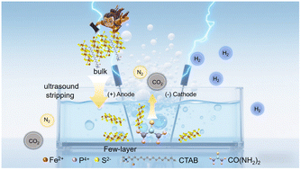 Graphical abstract: Regulating the layered structure of 2D FePS3 to achieve high-performance electrocatalytic urea degradation