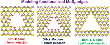 Graphical abstract: Aqueous chemistry of MoS2 nanopores: how functional groups influence water permeation and ion/boron rejection