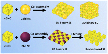 Graphical abstract: Shape-complementary co-assembly of concave nanocubes and nanospheres into binary superlattices