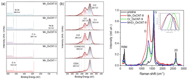 Graphical abstract: Deep oxidation of single-walled carbon nanotubes toward a versatile platform for direct functionalization