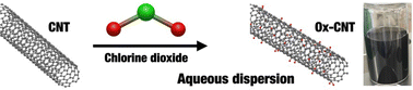 Graphical abstract: Aqueous dispersion of carbon nanotubes by chlorine dioxide oxidation