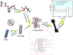 Graphical abstract: Enhancing crystallization and mechanical properties of PET polyester using functionalized carbon nanotubes