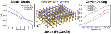 Graphical abstract: Janus-enhanced magnetic modulation under strain engineering and carrier doping in Fe3GaTe2 monolayers