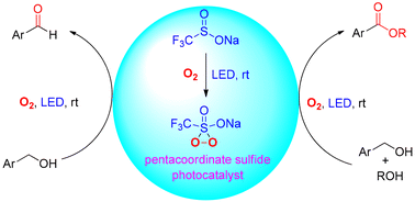 Graphical abstract: CF3SO2Na-promoted photocatalytic aerobic oxidation of benzyl alcohols to aromatic aldehydes and aromatic esters