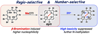 Graphical abstract: Steric factors controlling regioselective and efficient N-methylation of β-tetrabromoporphyrins