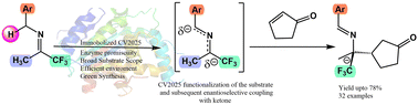 Graphical abstract: An enzyme catalyzed umpolung strategy for the green synthesis of Schiff bases and their derivatives