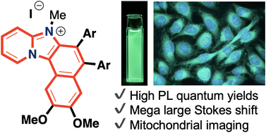 Graphical abstract: Synthesis of naphthalene-fused imidazo[1,2-a]pyridinium salts showing green luminescence with high quantum yields and large Stokes shift