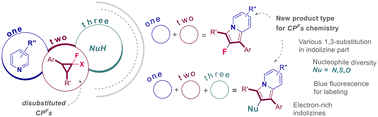 Graphical abstract: Fluorinated cyclopropanes for 2-heterosubstituted electron-rich indolizine synthesis