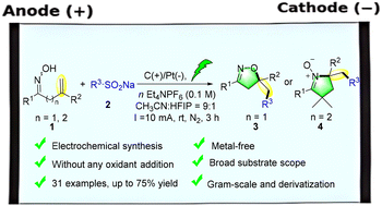 Graphical abstract: Electrochemical trifluoromethylation of alkenyl oximes for the synthesis of isoxazolines and cyclic nitrones via radical annulation