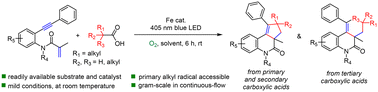 Graphical abstract: Photo-induced iron-catalyzed [2 + 2 + n] radical cascade for the synthesis of alkylated/spirocyclic polycyclic quinolinones