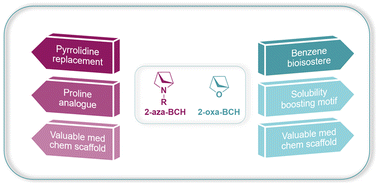 Graphical abstract: Building bridges from flatland: synthetic approaches and applications of 2-aza- and 2-oxa-bicyclo[2.1.1]hexanes