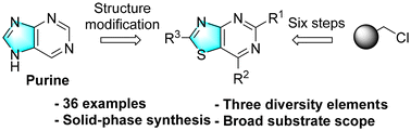 Graphical abstract: Synthesis of thiazolo[4,5-d]pyrimidine derivatives based on purine via solid-phase synthesis