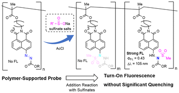 Graphical abstract: Synthesis of a naphthalimide-functionalized polymethacrylate: a turn-on fluorescent probe for sulfinic acids via covalent bond formation
