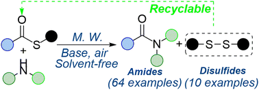 Graphical abstract: Microwave-assisted direct amidation of thioesters: a green approach