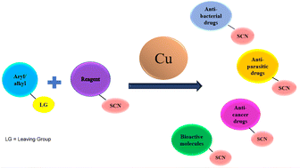 Graphical abstract: Advancements in copper-catalyzed thiocyanation: an update
