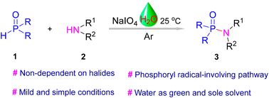 Graphical abstract: NaIO4-promoted phosphorylation of amines with H-phosphine oxides to construct P(O)–N bonds in water