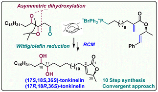 Graphical abstract: Stereoselective convergent total synthesis of tonkinelins