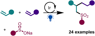 Graphical abstract: Photochemical carbosulfonylative cross-coupling of alkenes