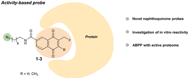 Graphical abstract: Synthesis and evaluation of naphthoquinone-based probes for activity-based protein profiling of oxidoreductases