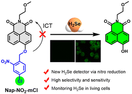 Graphical abstract: A new H2Se-selective fluorescent probe based on nitro reduction