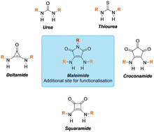 Graphical abstract: Bis-amino maleimides: a new class of dual hydrogen bond donor for anion binding and transport