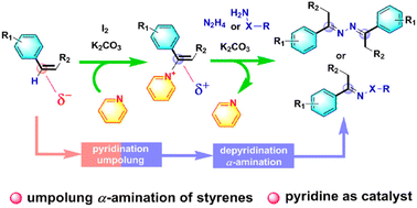 Graphical abstract: A pyridine-promoted umpolung strategy for the α-amination of styrenes via pyridinium salt intermediates