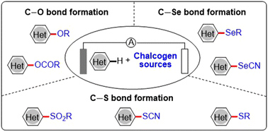 Graphical abstract: Recent advances in electrochemical C–H chalcogenation (O/S/Se) of heteroaromatics