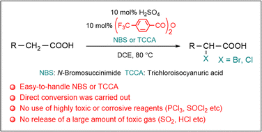 Graphical abstract: Direct α-halogenation of carboxylic acids with N-bromosuccinimide (NBS) or trichloroisocyanuric acid (TCCA) in the presence of catalytic amounts of 4-trifluoromethylbenzoic anhydride and H2SO4