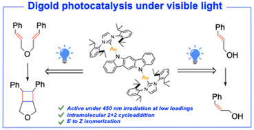 Graphical abstract: Digold photosensitizer for visible light [2 + 2] cycloaddition and E/Z isomerization reactions