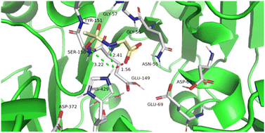 Graphical abstract: pH related activity and reaction mechanism of CatA: a DFT study