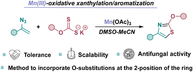 Graphical abstract: Synthesis of thiazoles from vinyl azides and xanthates under the action of an Mn(iii)-oxidant